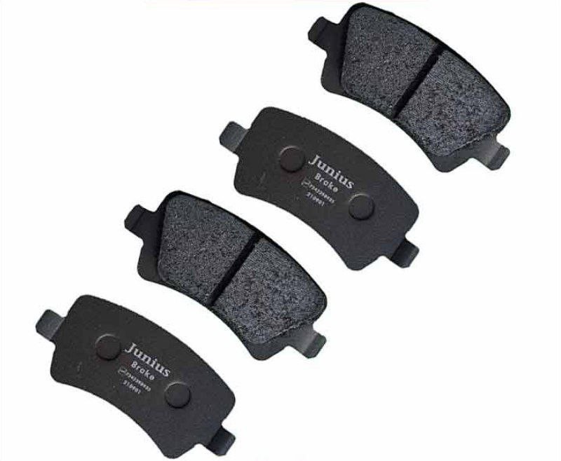 لنت ترمز عقب فیدلیتی 