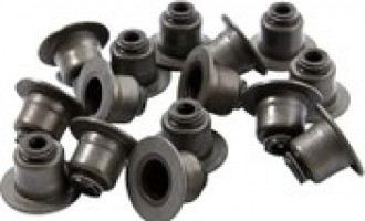 لاستیک ساق سوپاپ فیدلیتی 