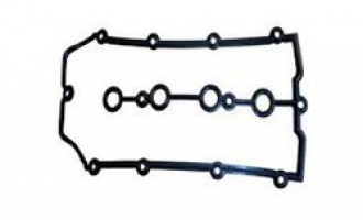 واشر درب سوپاپ دیگنیتی