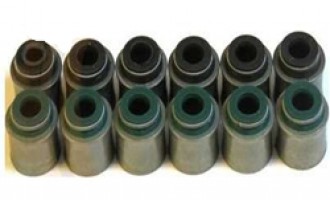 لاستیک ساق سوپاپ دیگنیتی