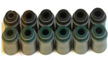 لاستیک ساق سوپاپ دیگنیتی