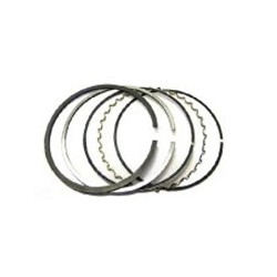 رینگ موتور دیگنیتی