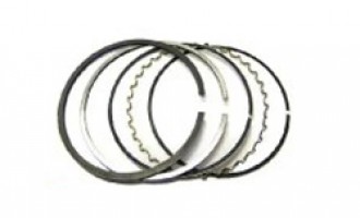 رینگ موتور دیگنیتی