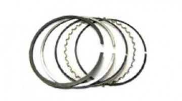 رینگ موتور دیگنیتی